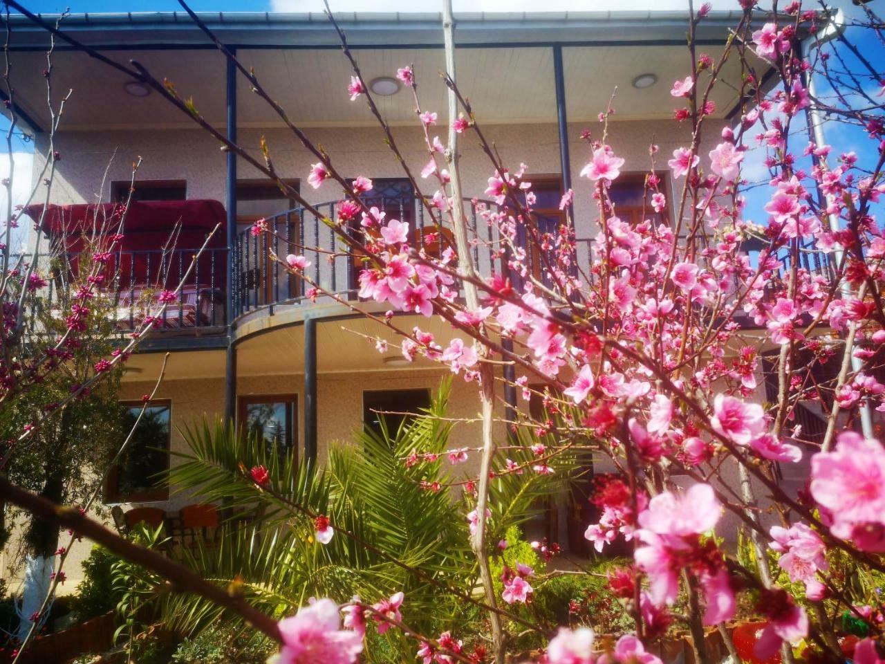 Hostel Sadu Kutaisi Bagian luar foto