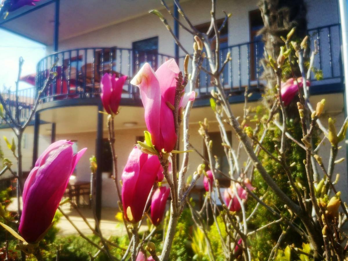 Hostel Sadu Kutaisi Bagian luar foto